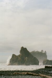 ruby beach on a foggy day
